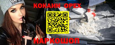 гашик Новозыбков