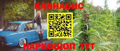 гашик Новозыбков