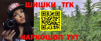 гашик Новозыбков