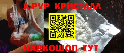гашик Новозыбков