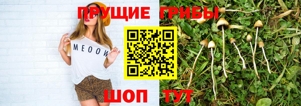 Псилоцибиновые грибы MAGIC MUSHROOMS  Вход с VPN  Спасск-Дальний  Псилоцибиновые грибы мицелий 