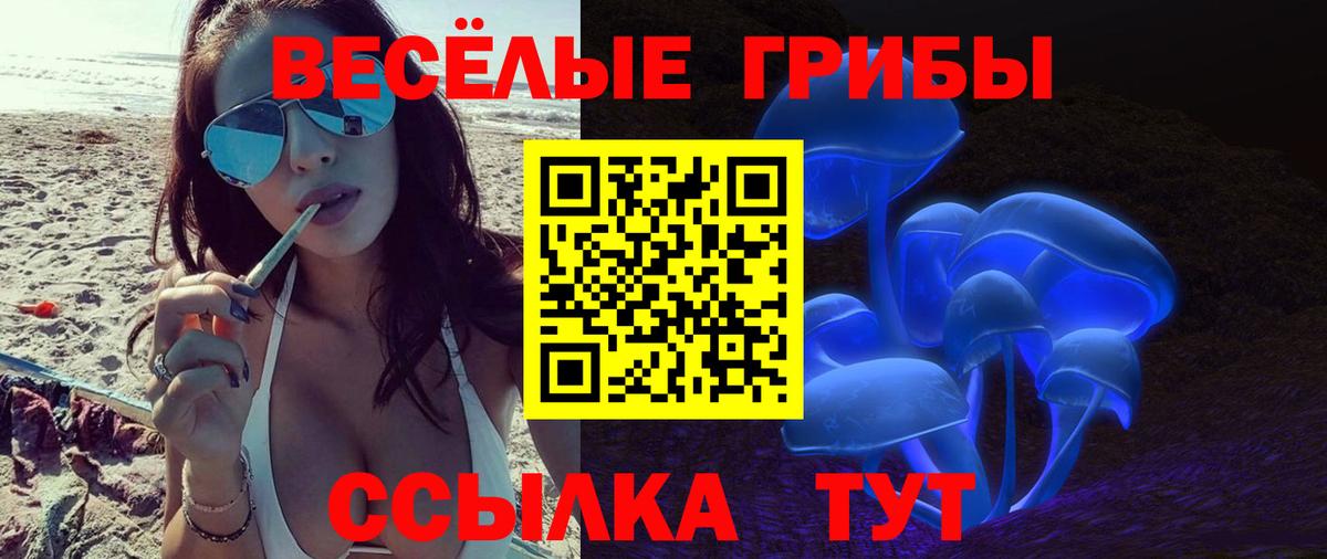 Галлюциногенные грибы Psilocybe Спасск-Дальний